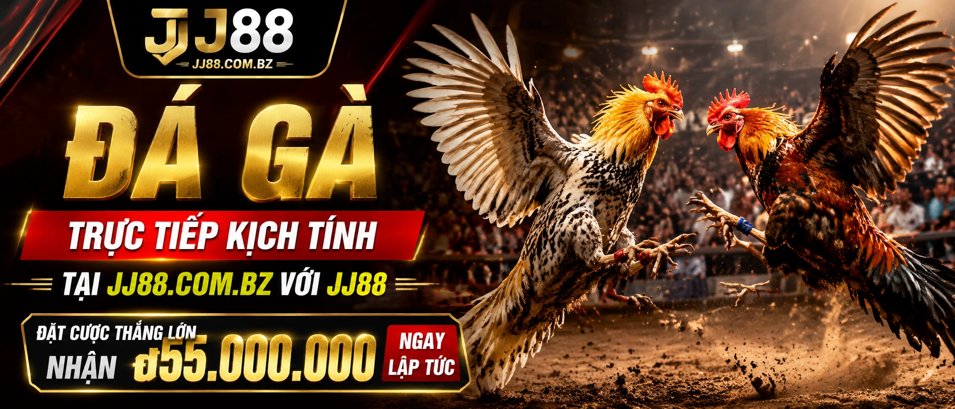 JJ88 Casino | No Hu, Ban Ca, Live Casino, Rut Tien 58 Card Games